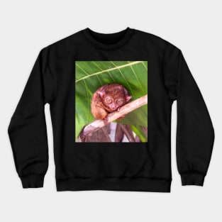 Tarsier, Bohol, Philippines Crewneck Sweatshirt